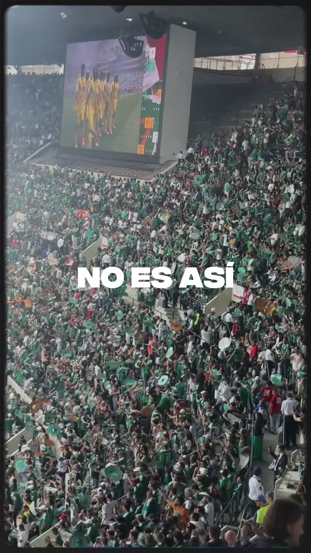 @Arturo Leal