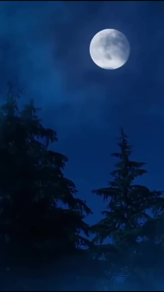 @ربے اسئلک رضاک والجنه…🌱