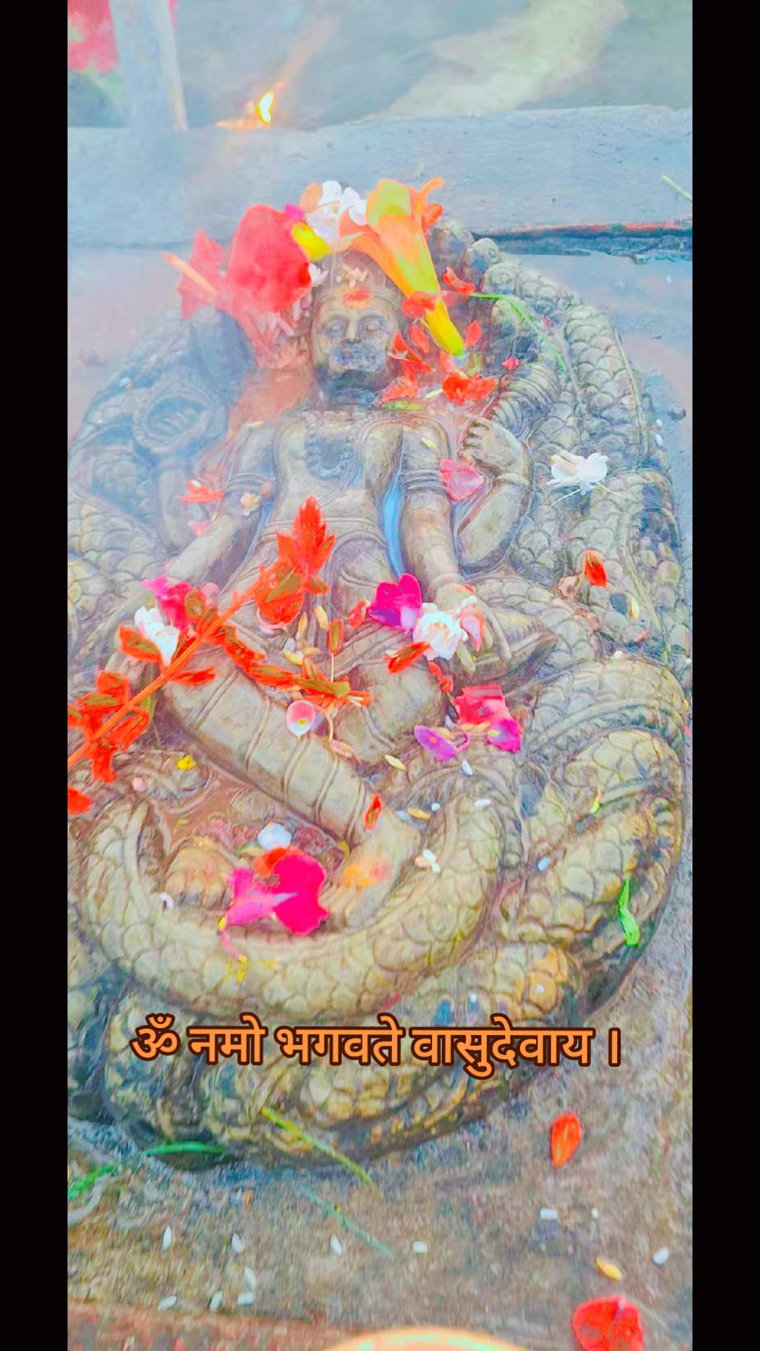 @तपो भुमी नेपाल