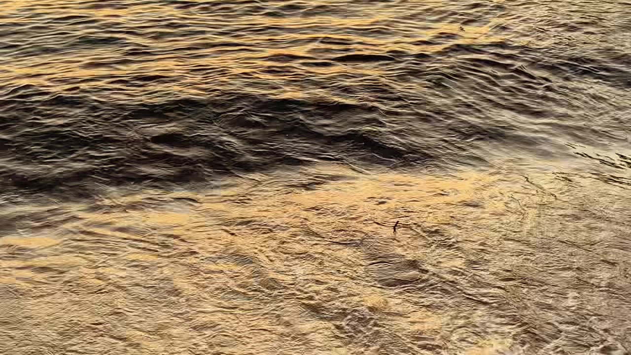 @📷