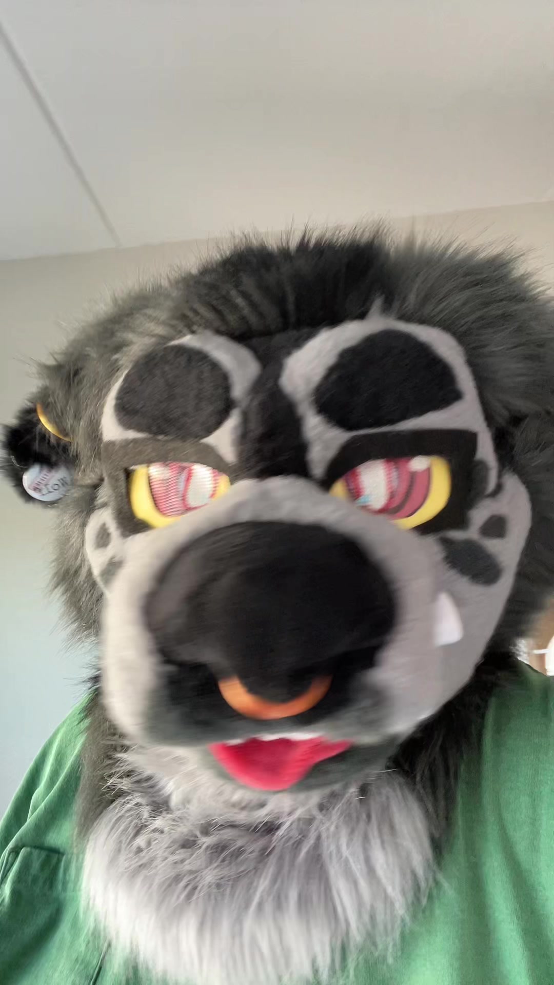 @go.catboy.go_piss