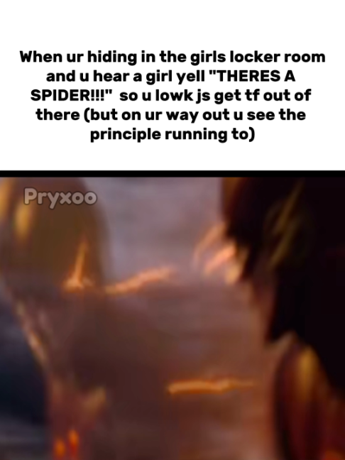 @Pryxoo_Real_Account