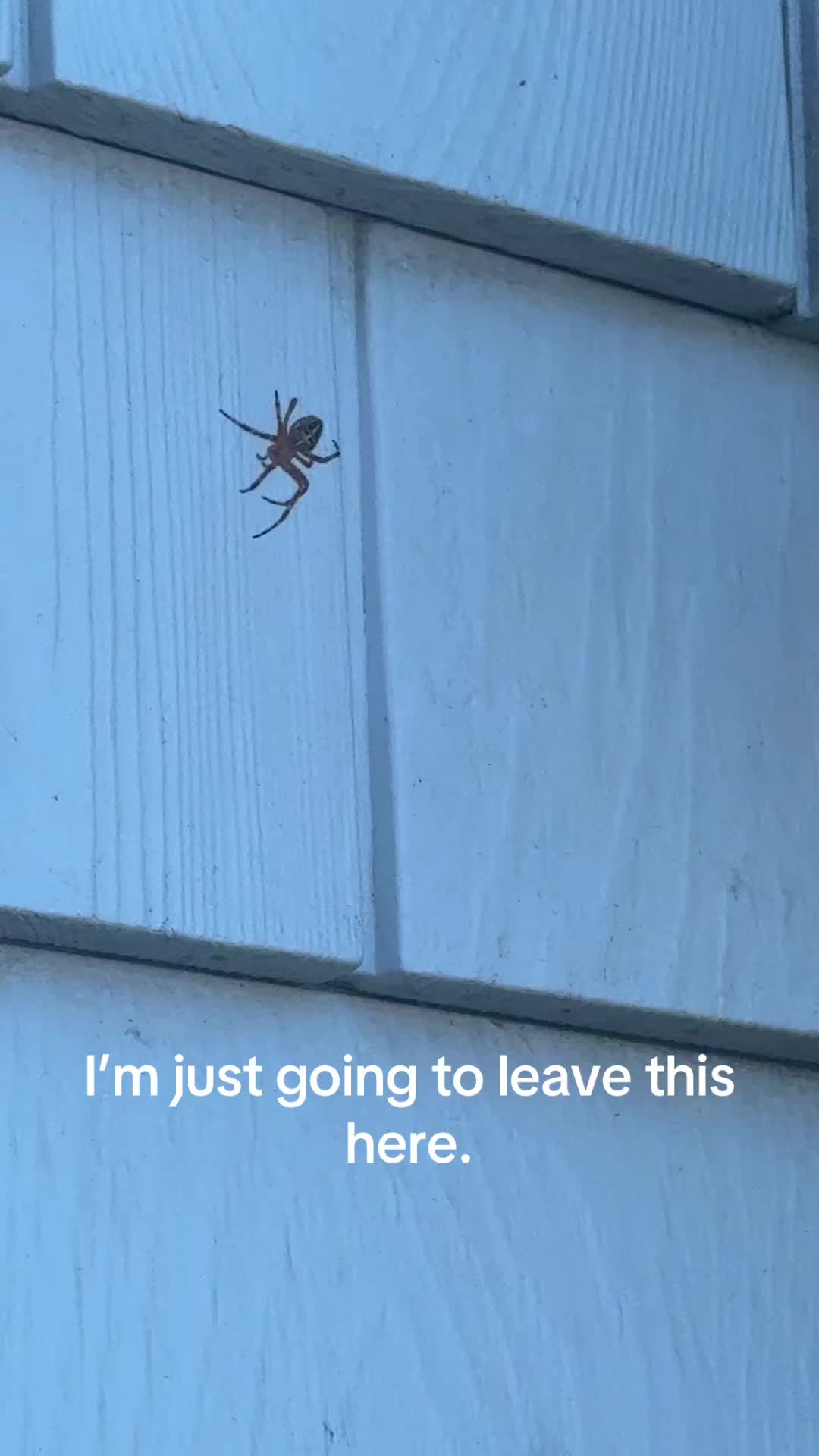 @allisonsawyer4
