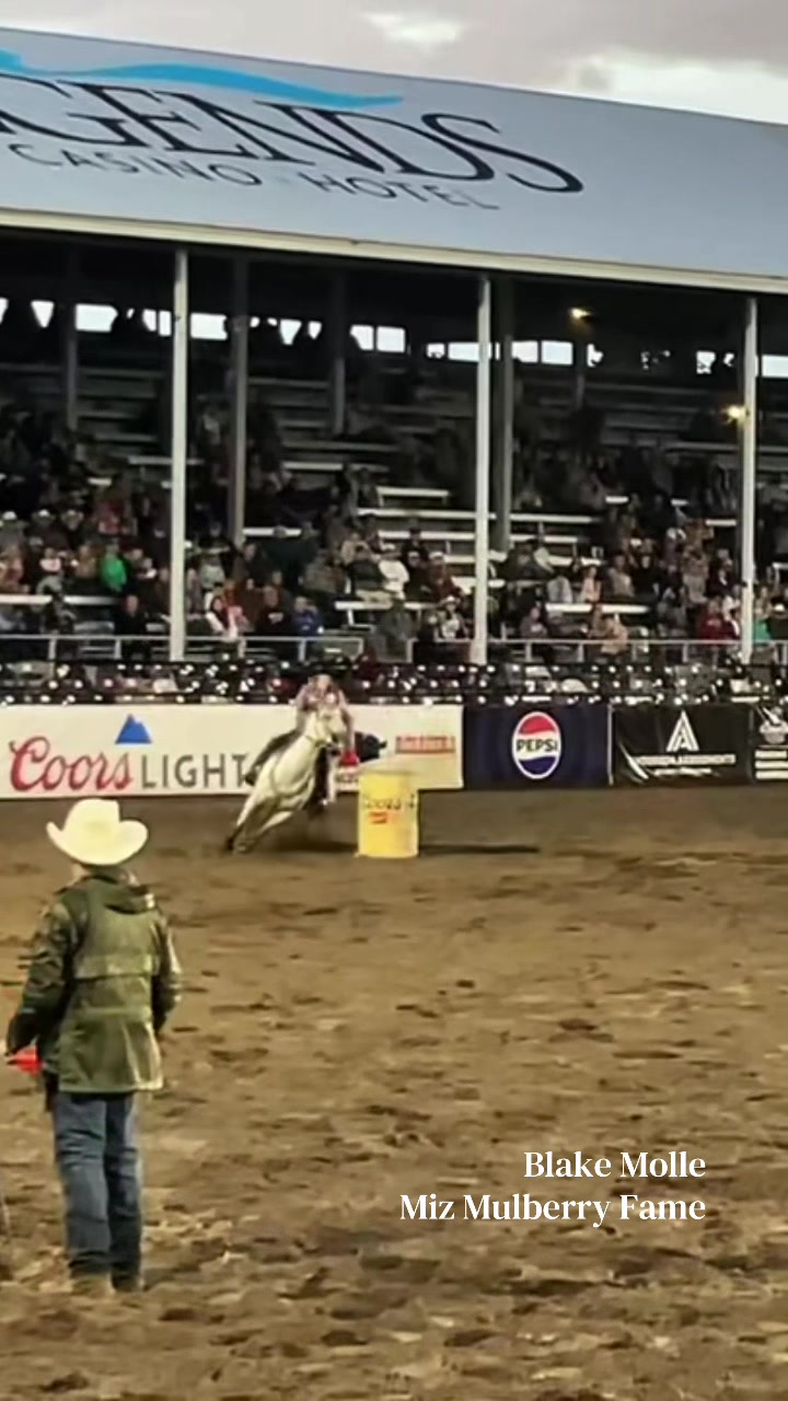 @BarrelRacing.com