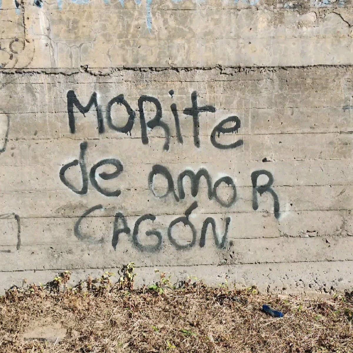 @Sofiღ