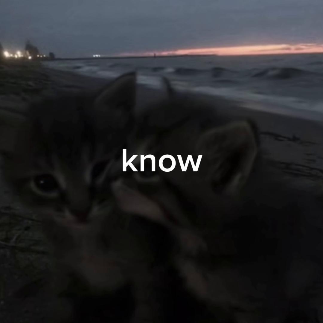 @ze66y