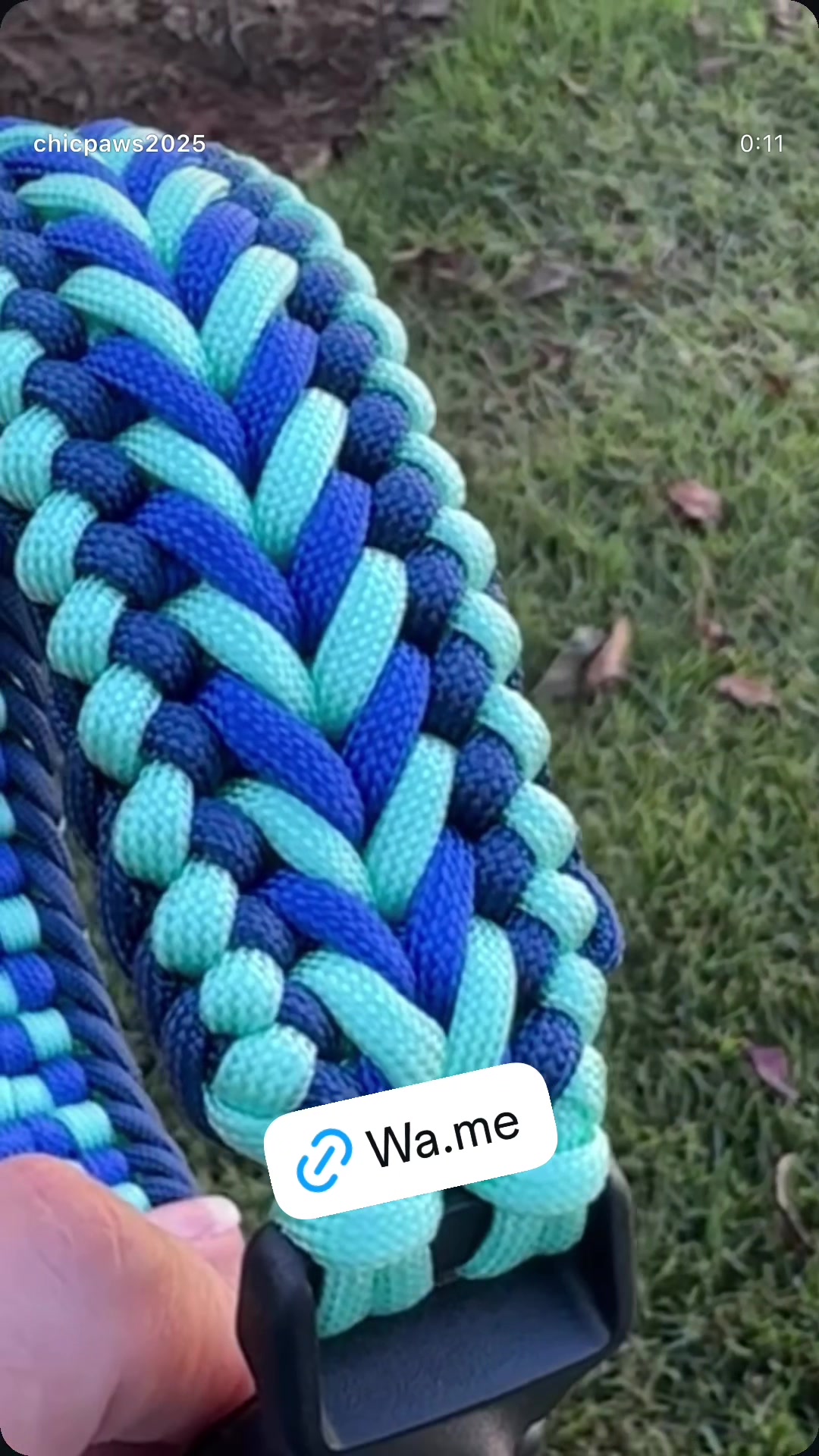 @ChicPaws2025