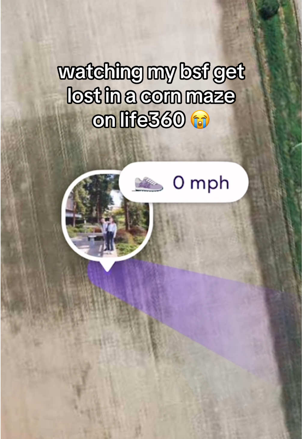 @Life360