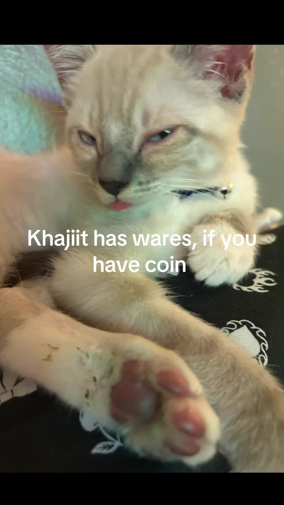 @Tori 🧟&zwj;♀️