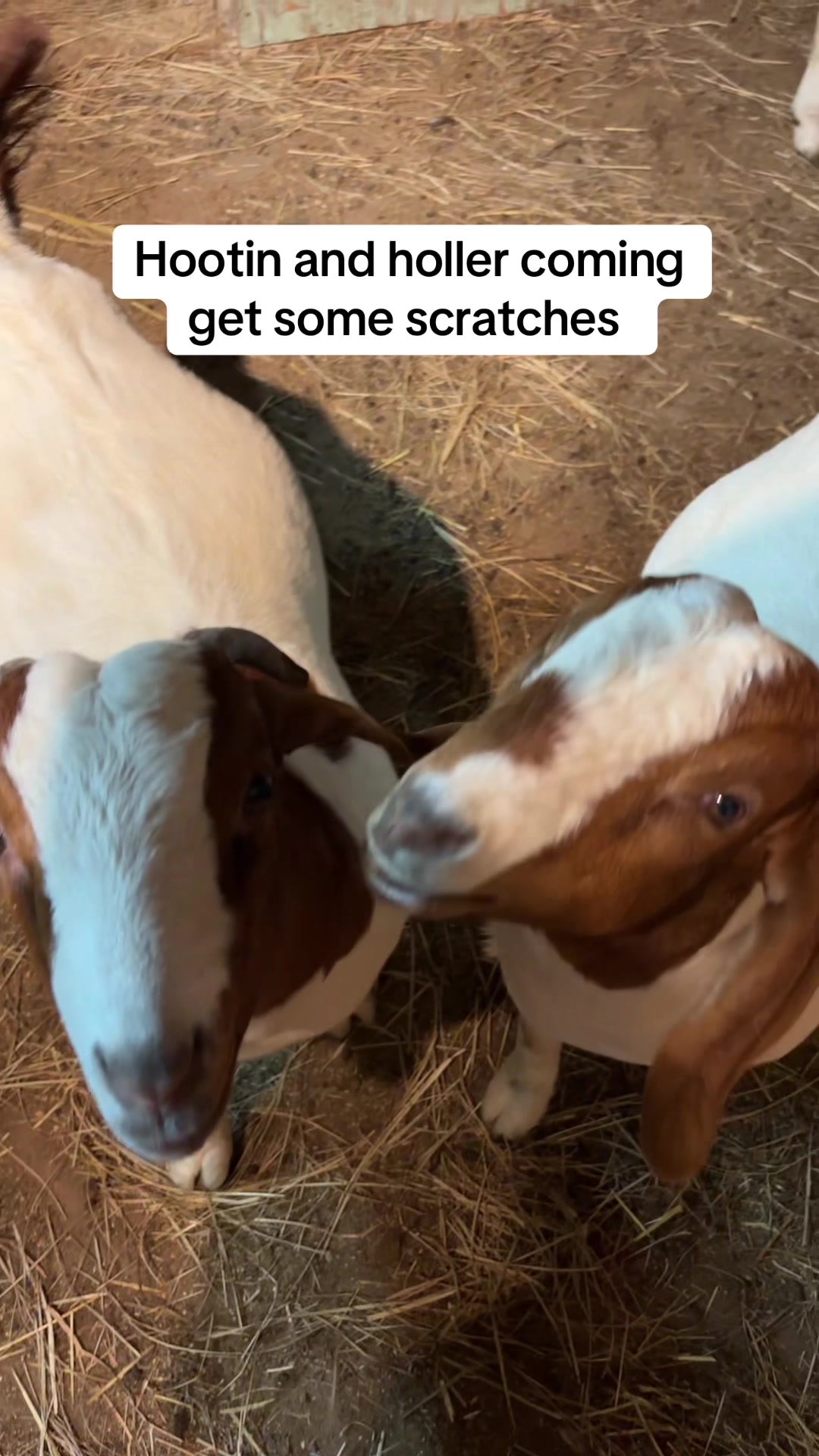 @Sarah ;)