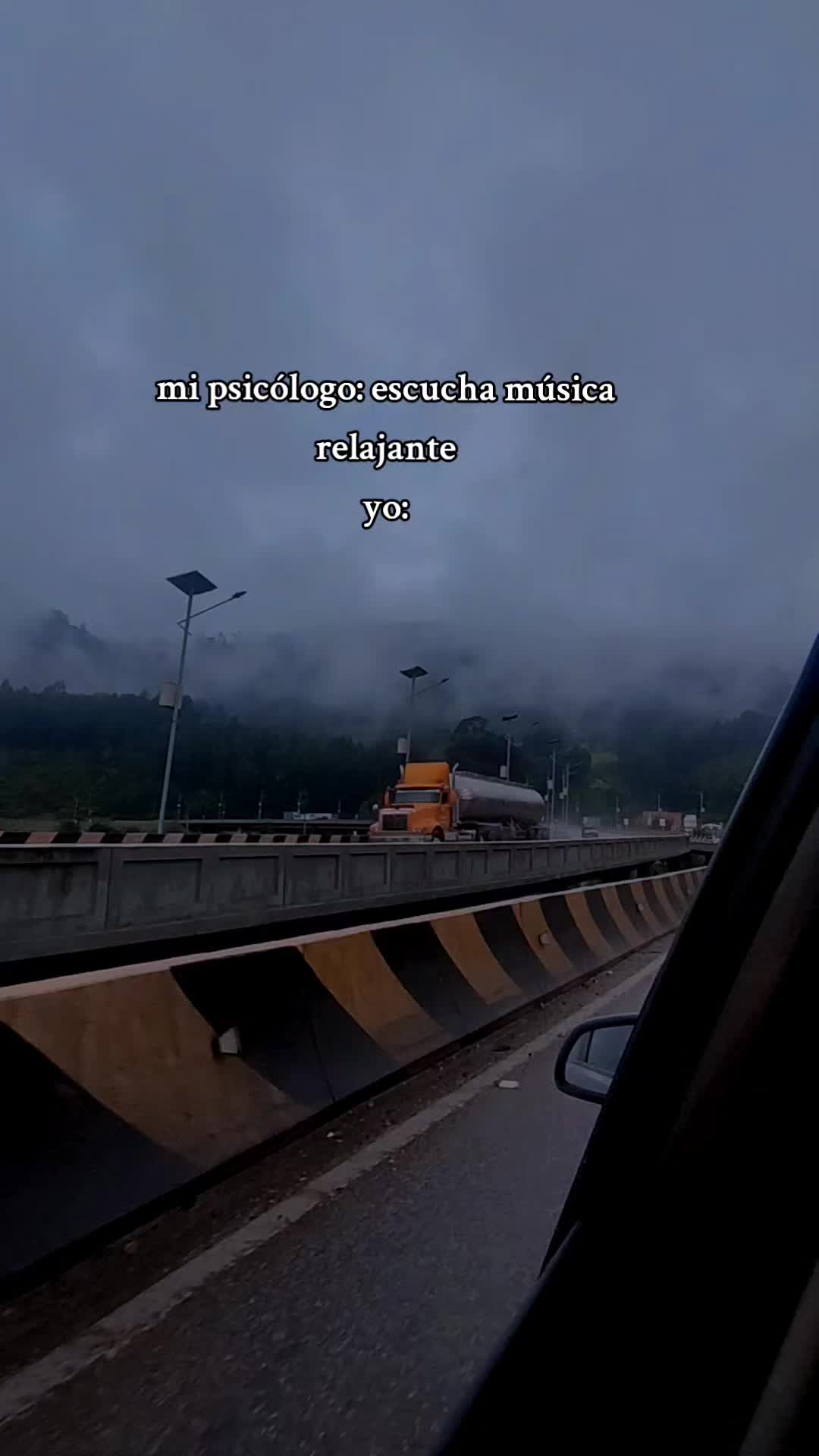 @Ximena Poveda 👻