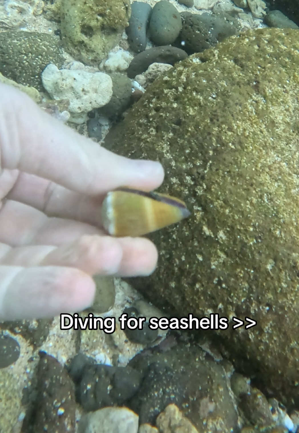 @hishellguy