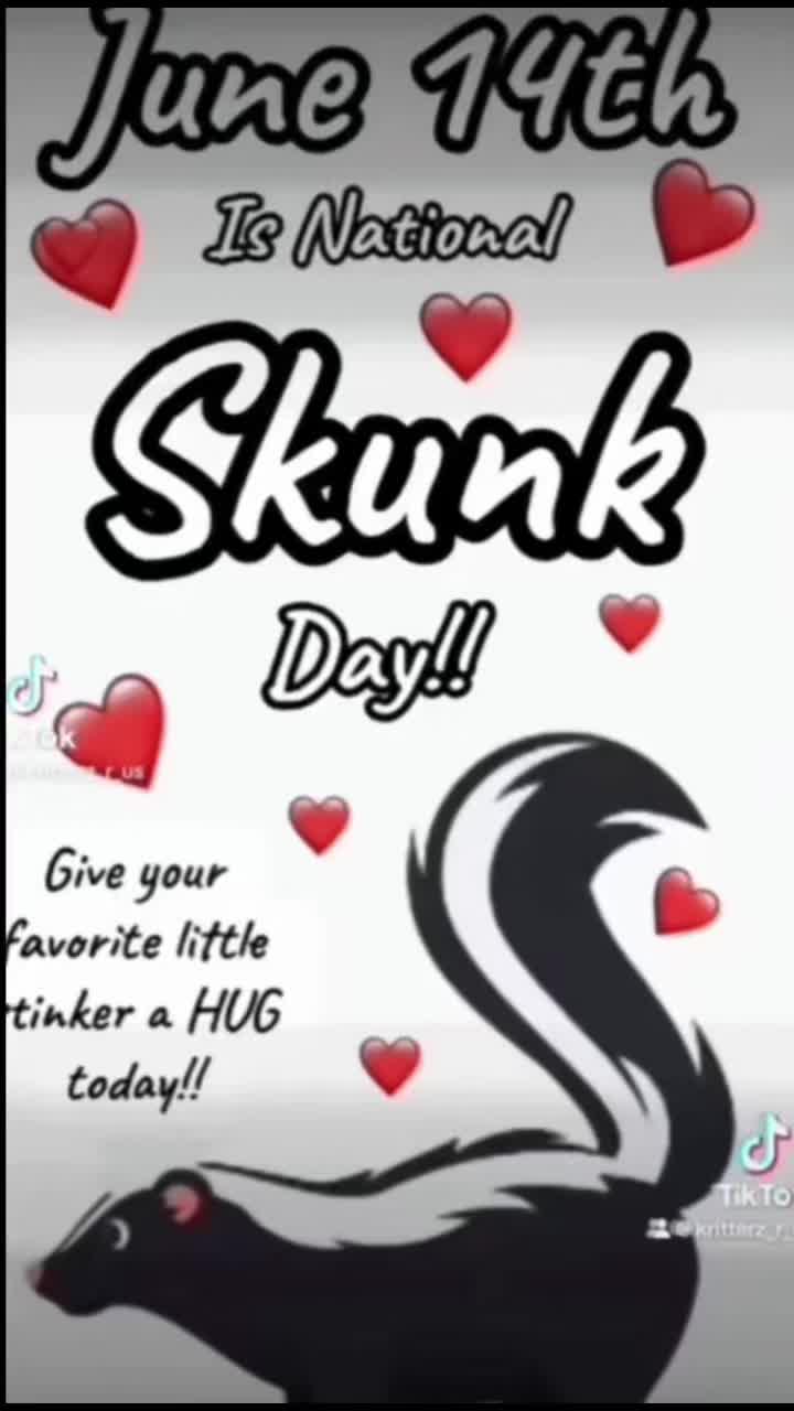 @LoneWolfKritterKam
