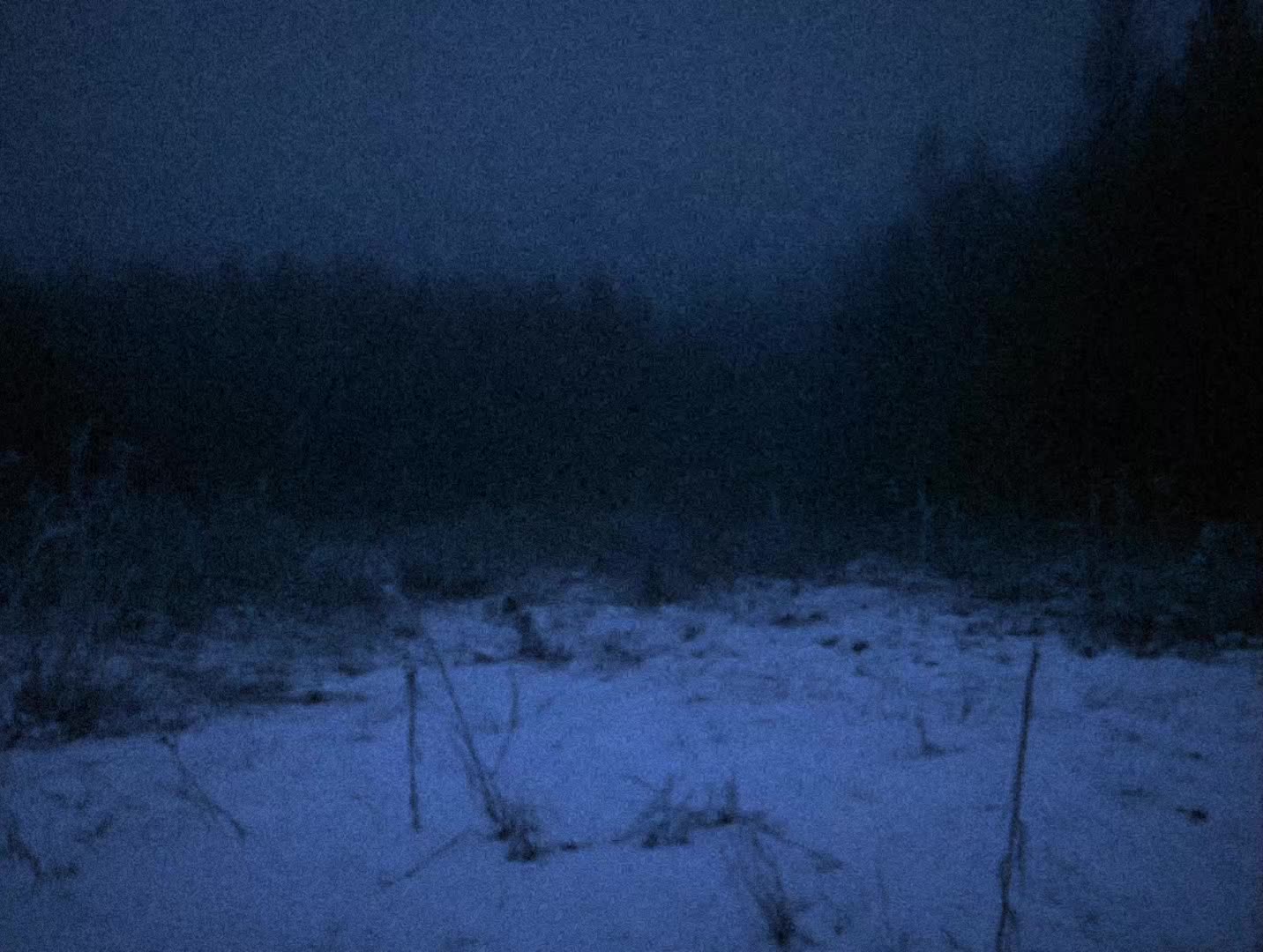 @limbus vita