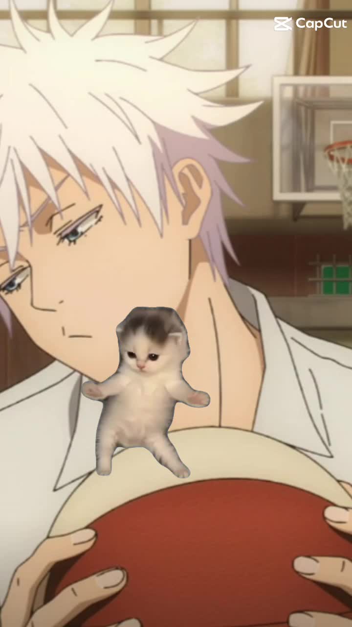 @ゼフ五条