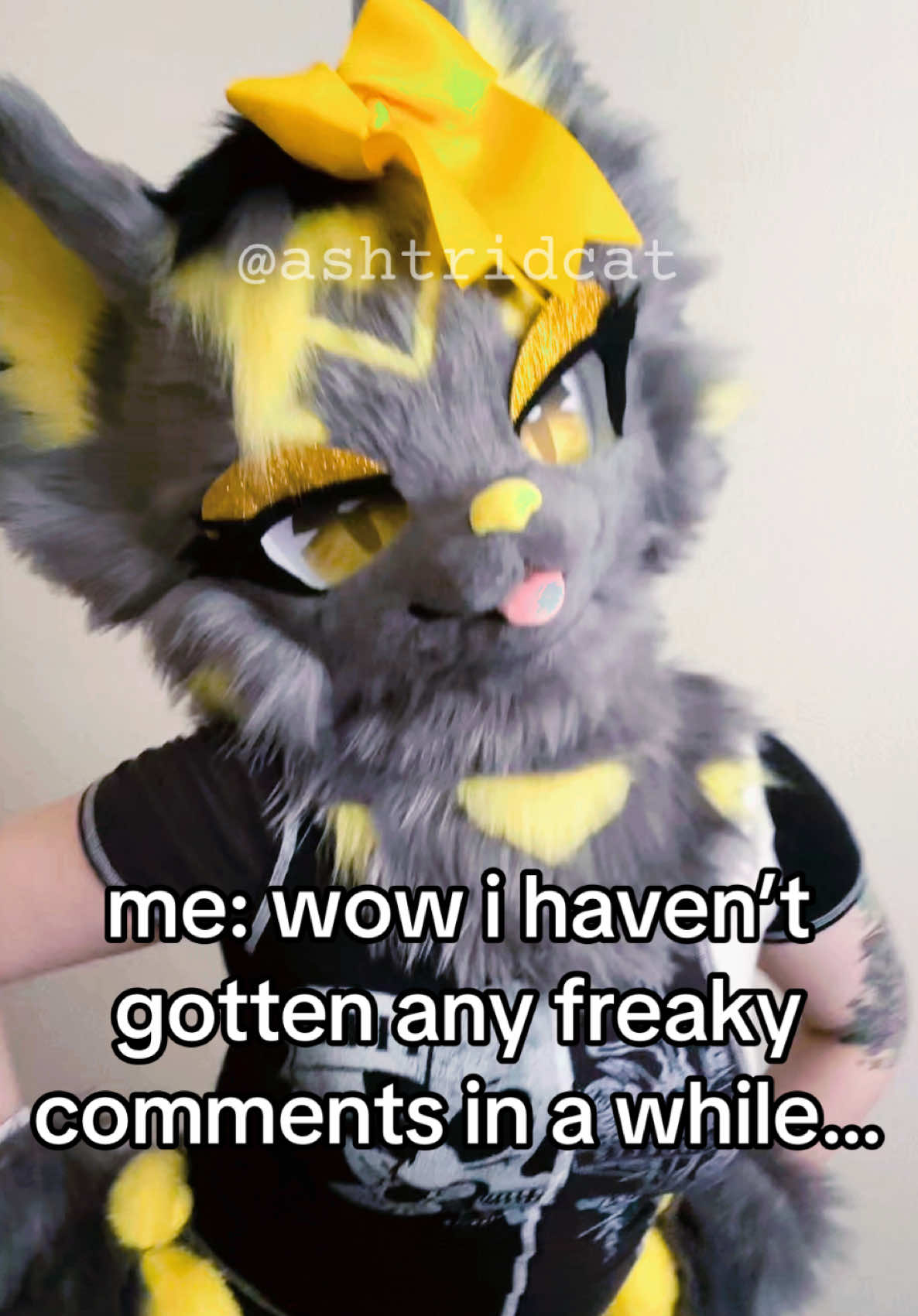 @AshtridCat