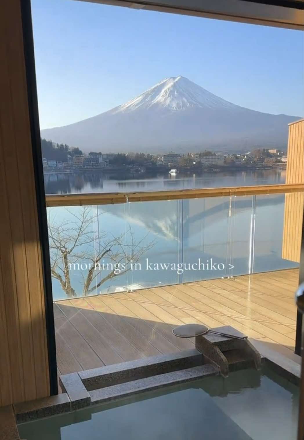 @maya