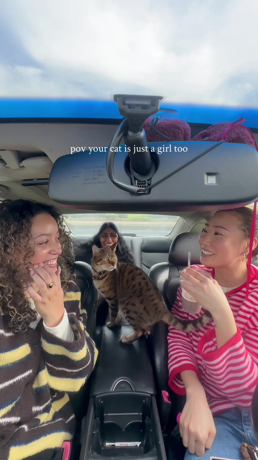 @jia
