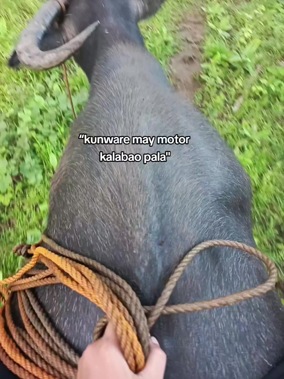 @ʙᴏss•ᴊᴜsᴛシ