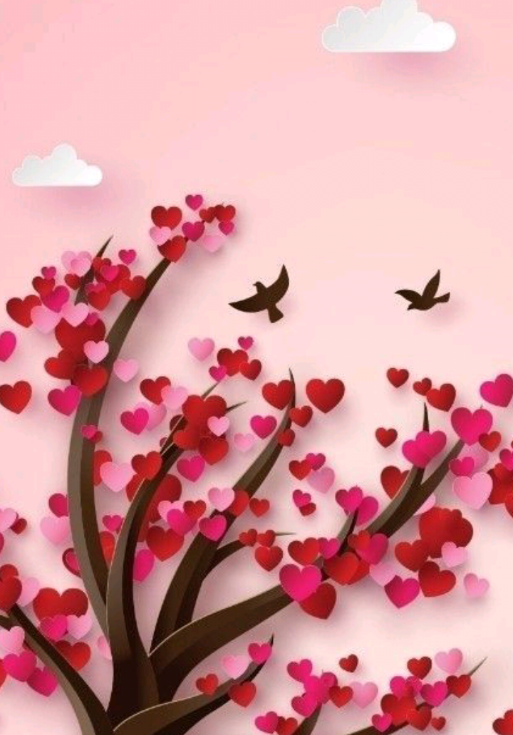 @🌹BELLA FLOR FF🌹