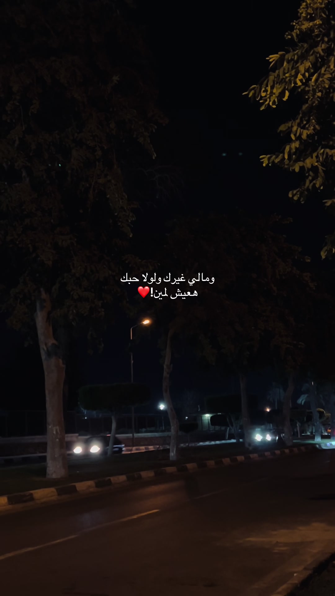 @Hoda❤️🔥