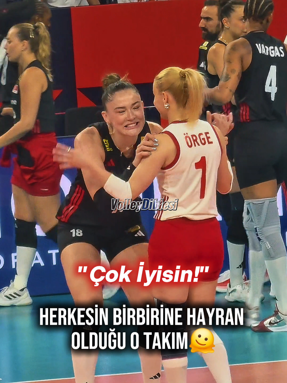 @VolleyDiblesi