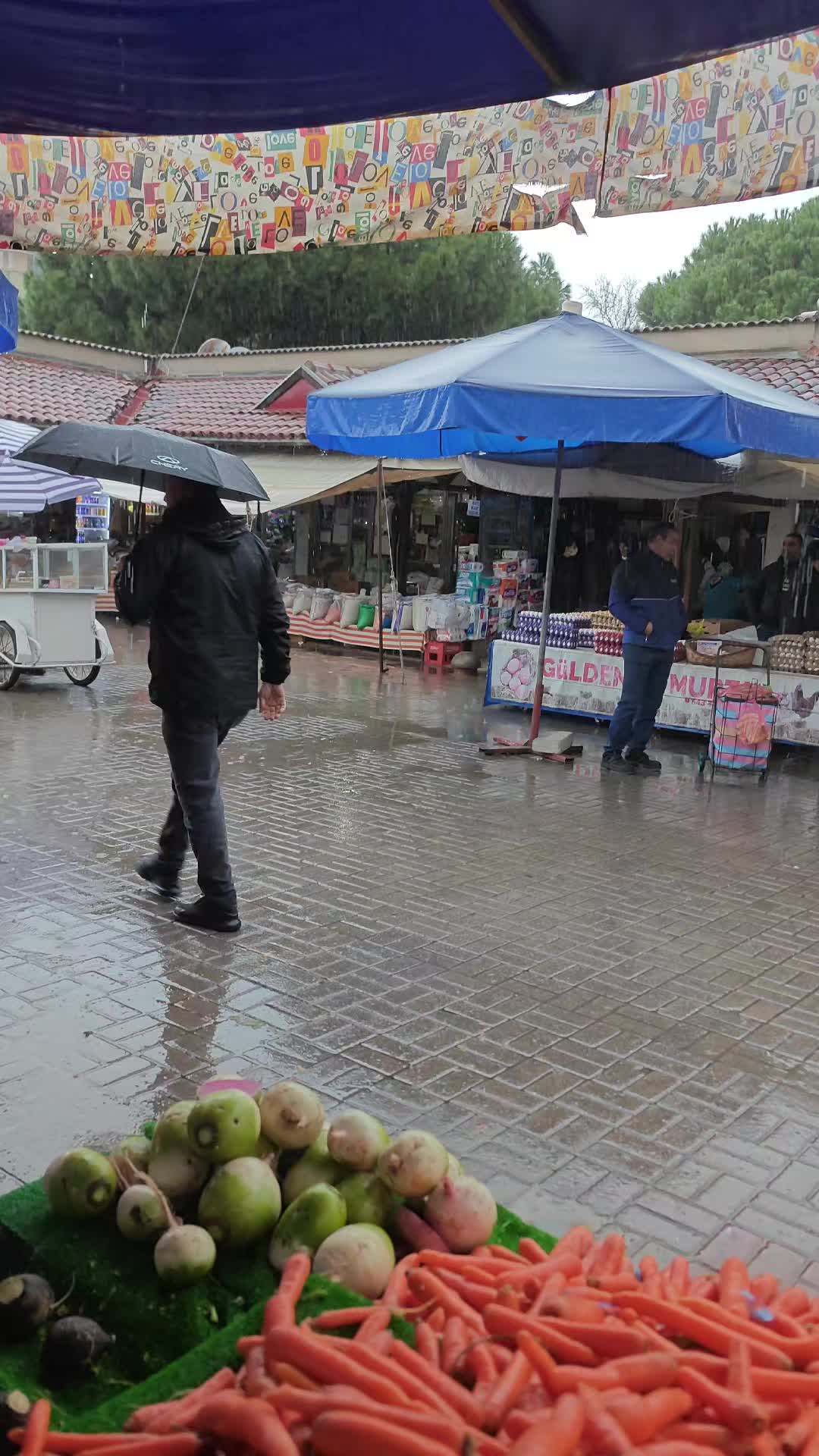 @Alan Tarım &Uuml;r&uuml;nleri 🥗