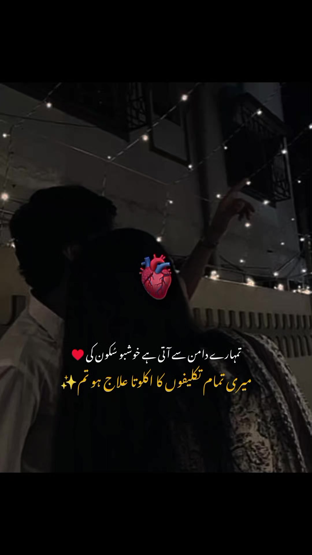 @MrS ArSaLaN♥️