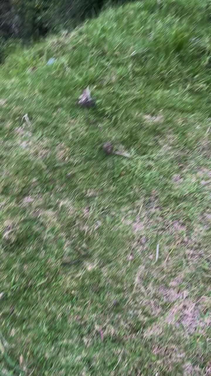 @ꛎ𖦪𖢧ꛅꚶ𖦪 🧃