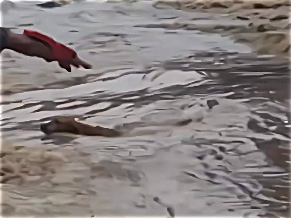 @𝗭 𝗬 𝗥 𝗢 𝗫