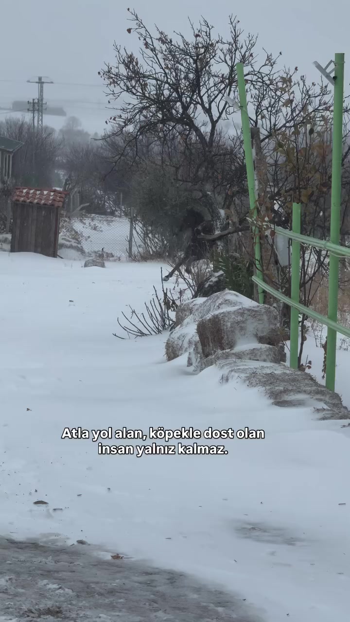 @mehmet gülçin
