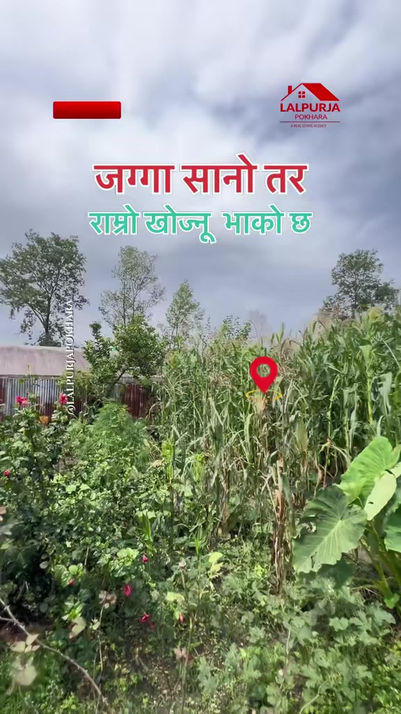@Lalpurja Pokhara