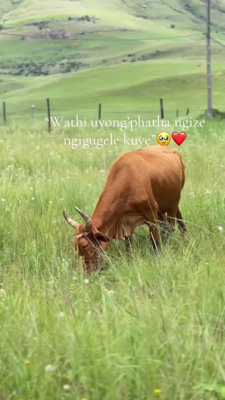 @MaZondoKaMthiyane🧚🏾&zwj;♀️