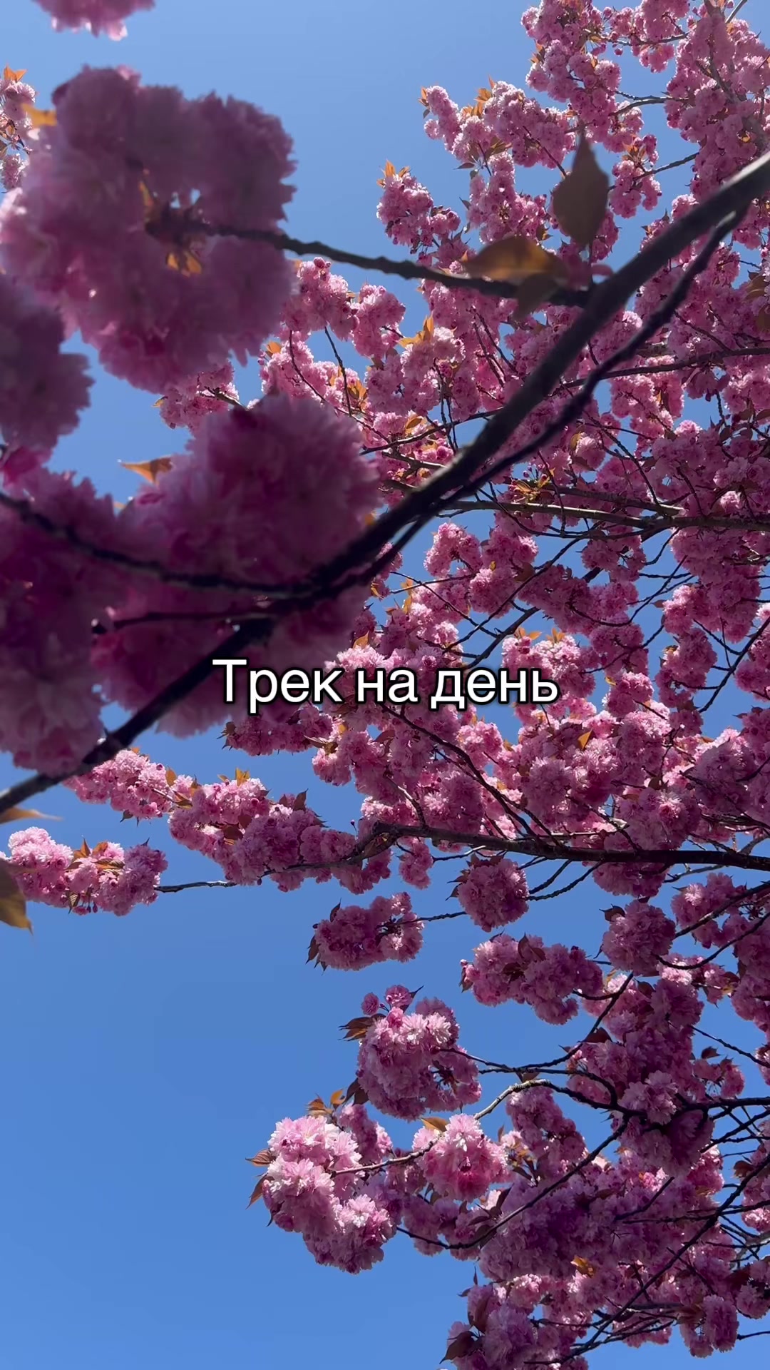@TonyDaMusic