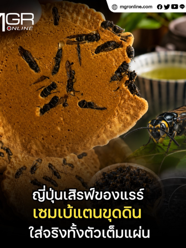 @MGR Online