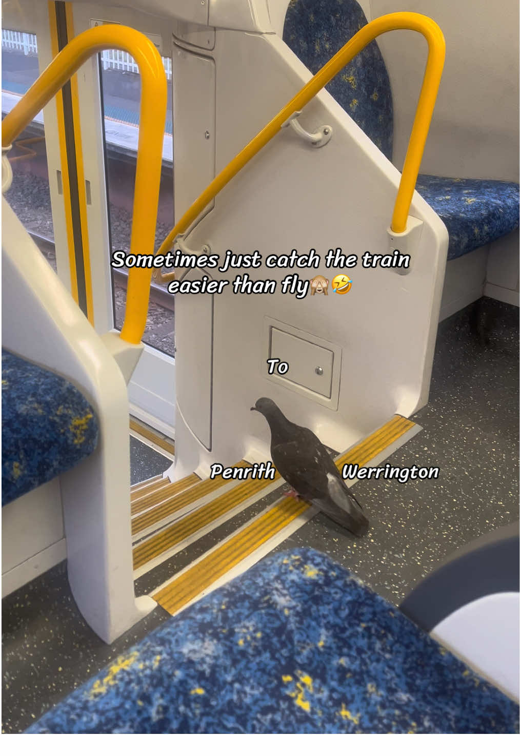 @CutieTina🇦🇺