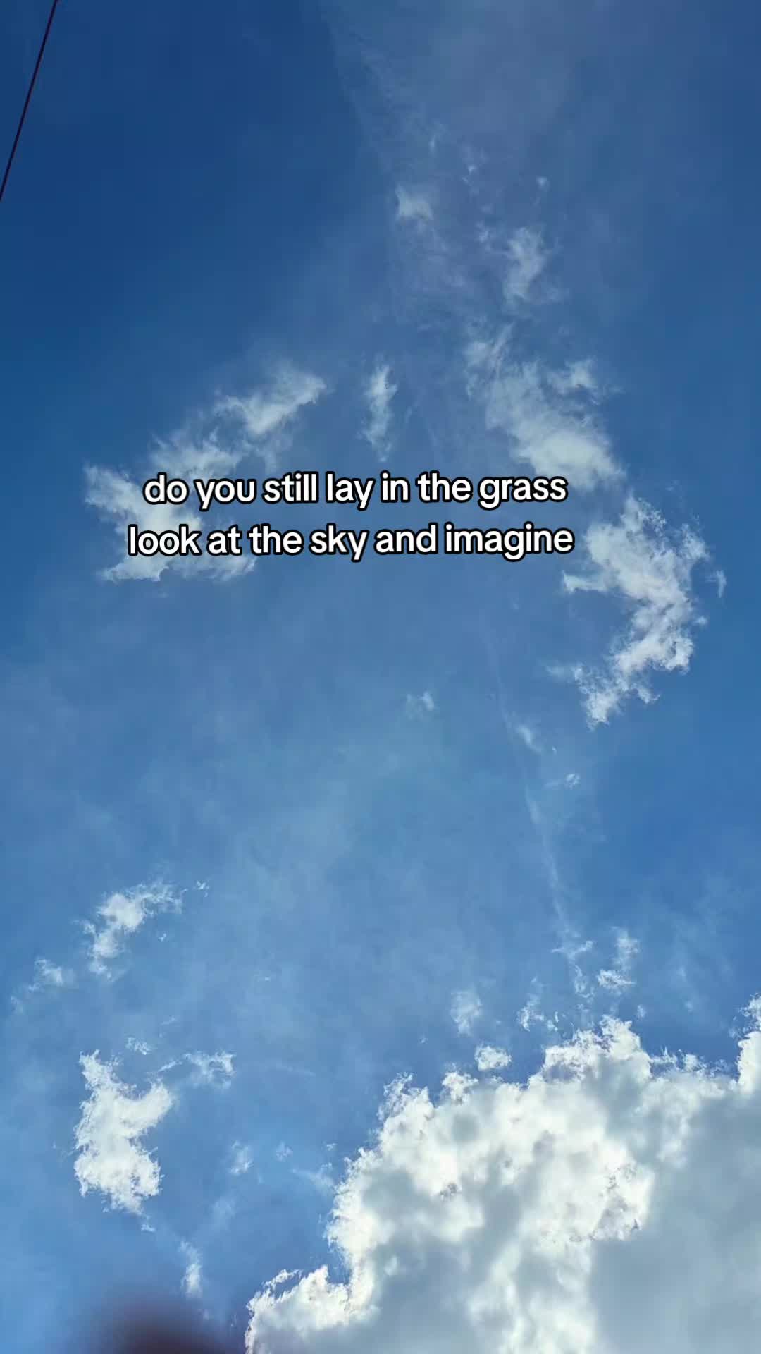 @❌️LAYNE❌️