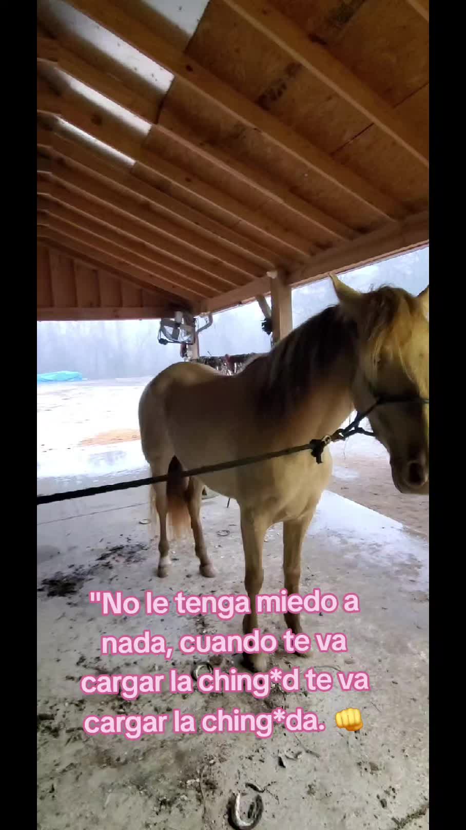 @Leobardo Acero Es565