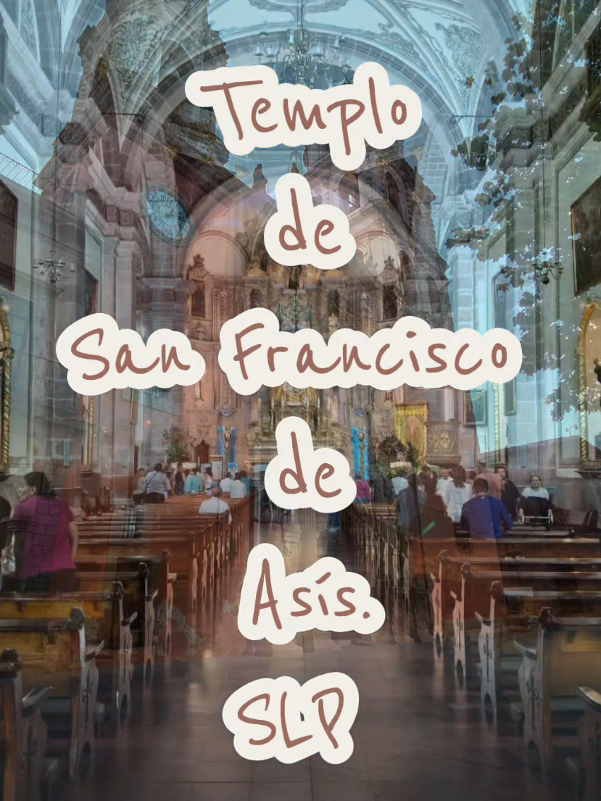 @Depatadeperro