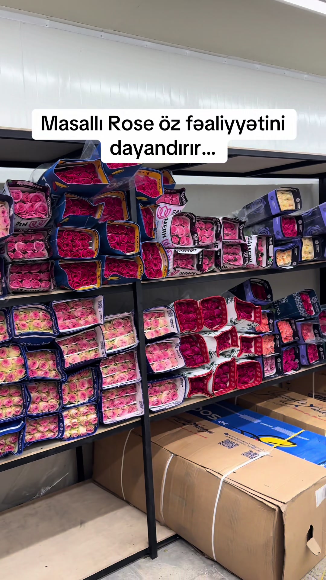 @Ağ Çiçəyim