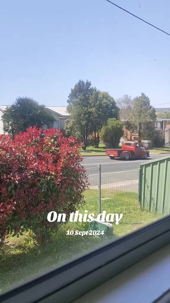 @shellyteddybear1