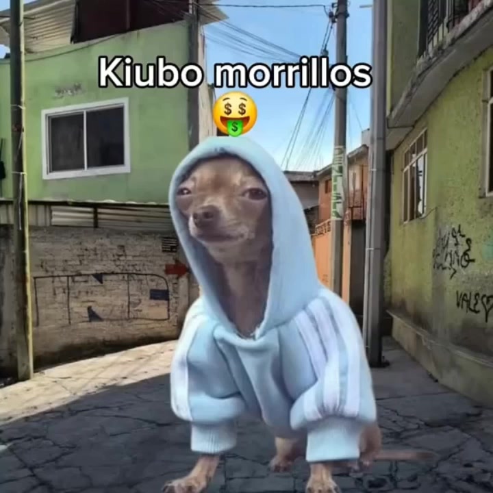 @Diego hdez