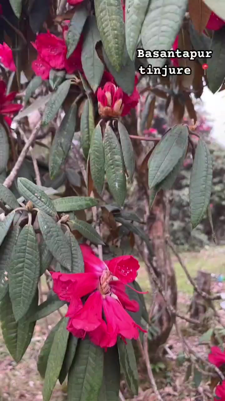 @Dipsan Chaudhary