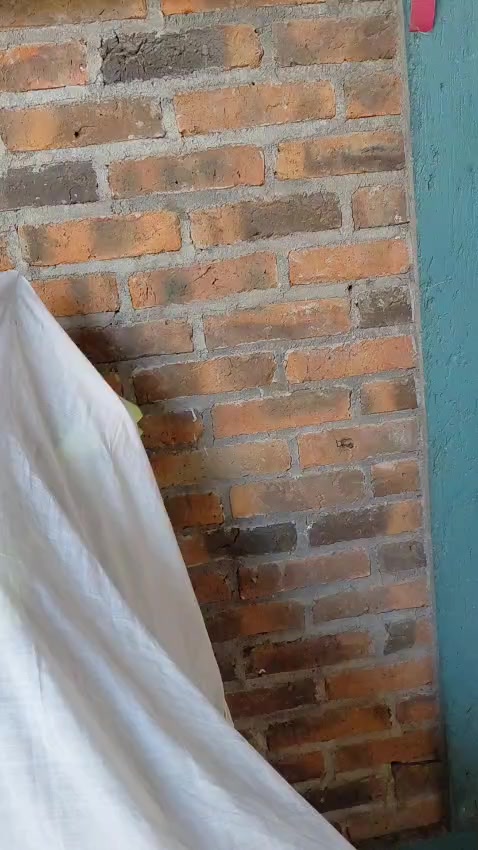 @ponceeduardo