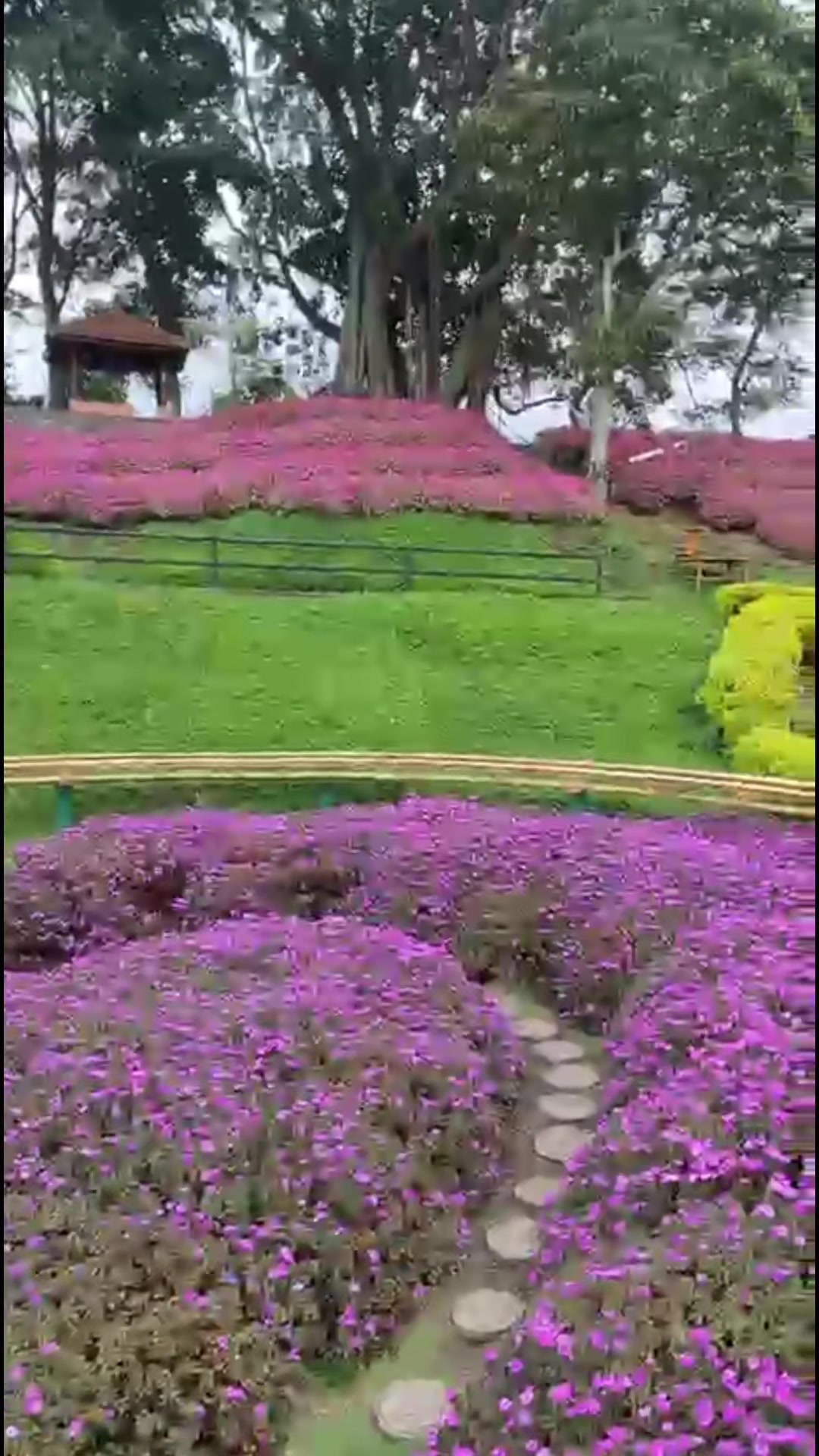 @hanim 673