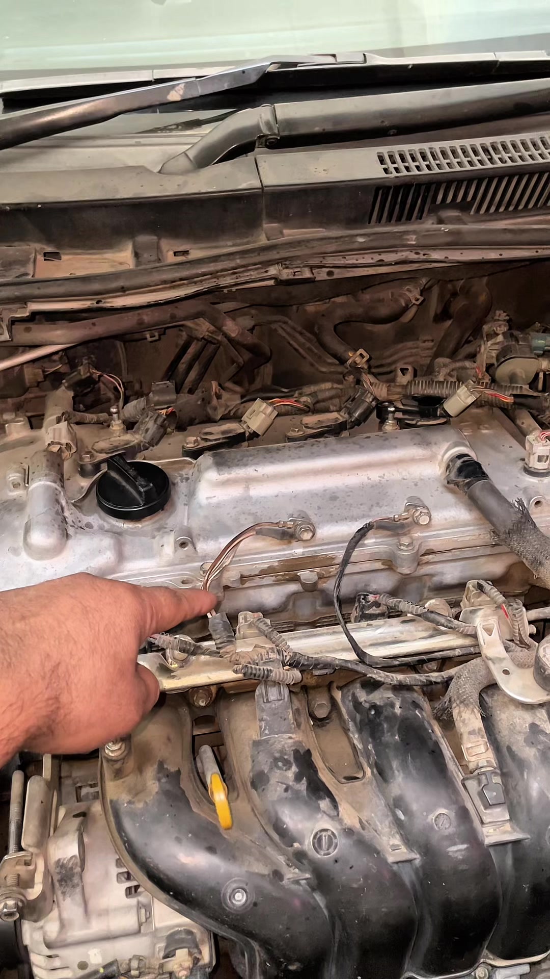 @MS Auto Mechanic