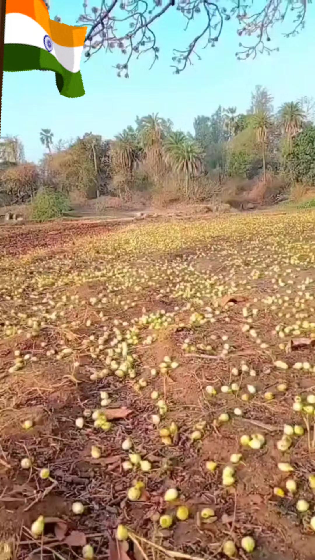 @Akula Rajanna