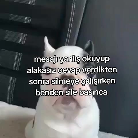 @rolland