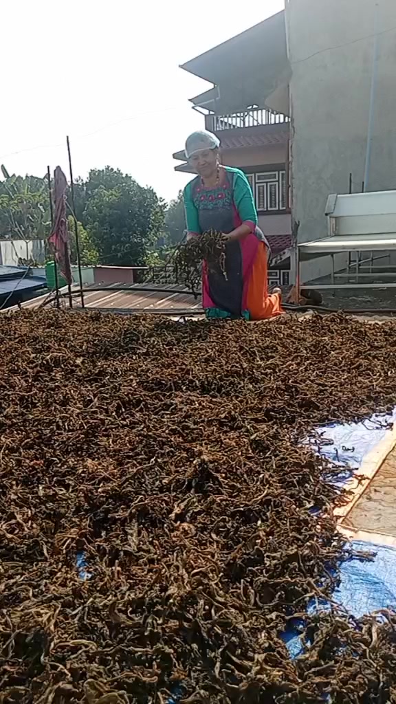 @Ambika13