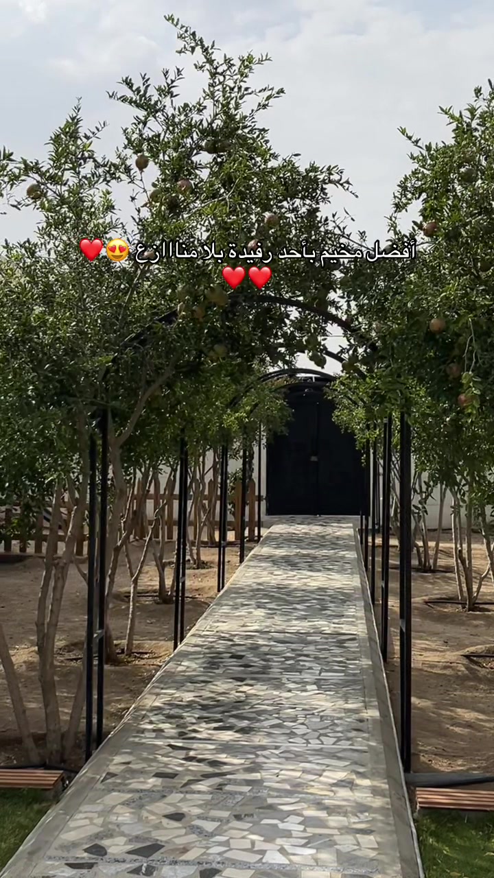 @مخيم سّمارى